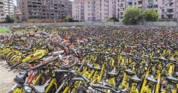 滴滴另起炉灶做共享单车 或加快ofo摩拜合并速度