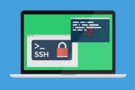 no matching host key type found. Their offer: ssh-rsa