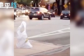 塑料袋走着过马路